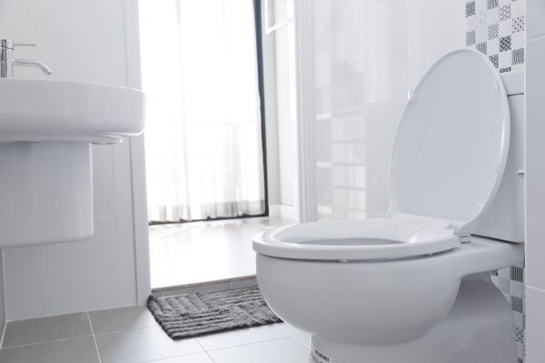 Cost of Toilet Relocation in Redwood City